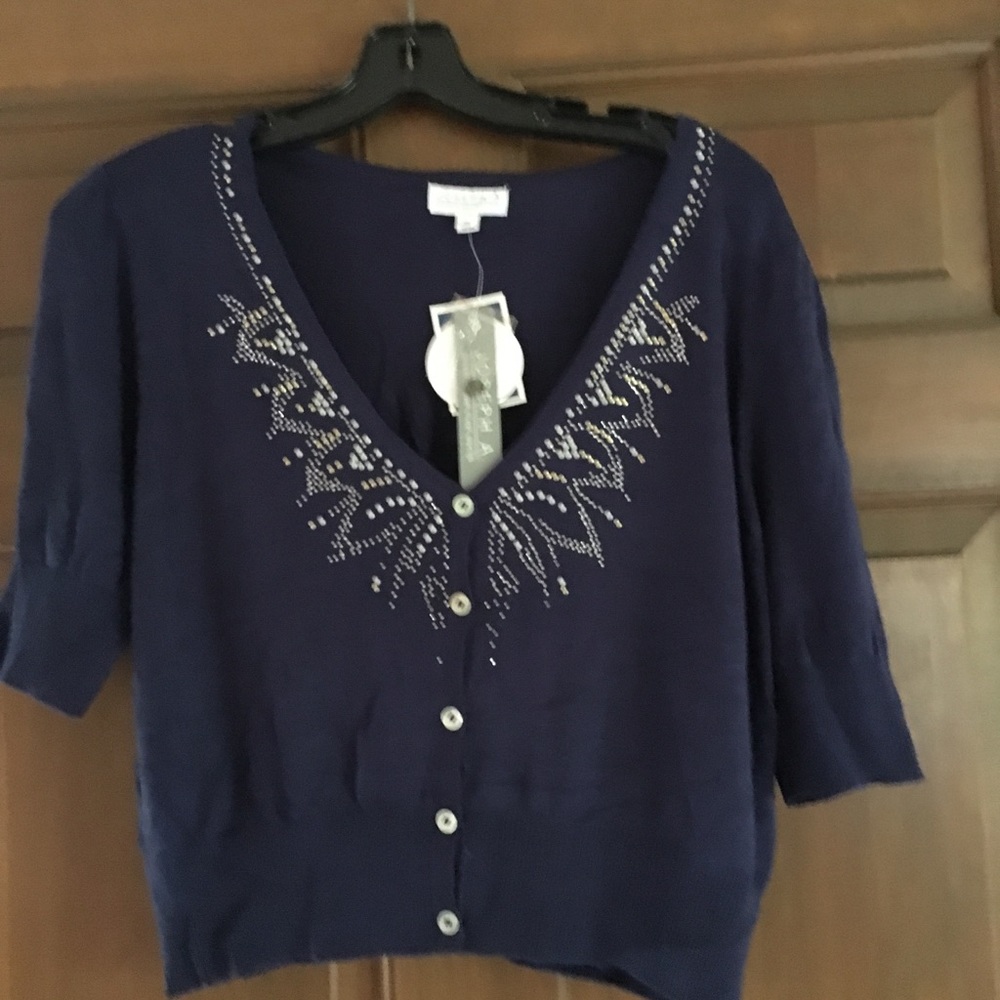 NWT blue crop sweater
